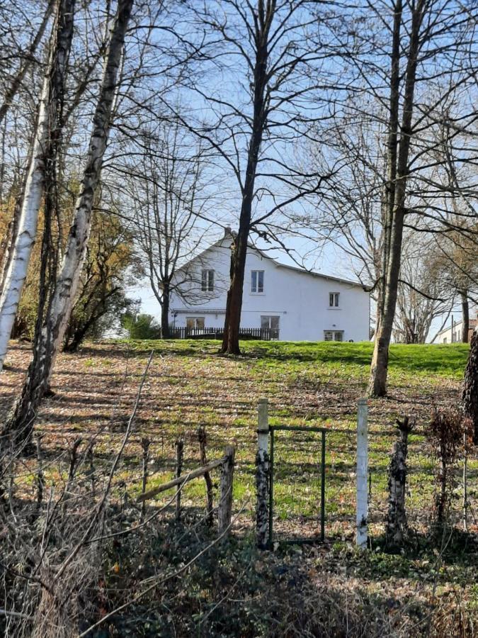 Autour Des Vignes B&B Herry Zewnętrze zdjęcie