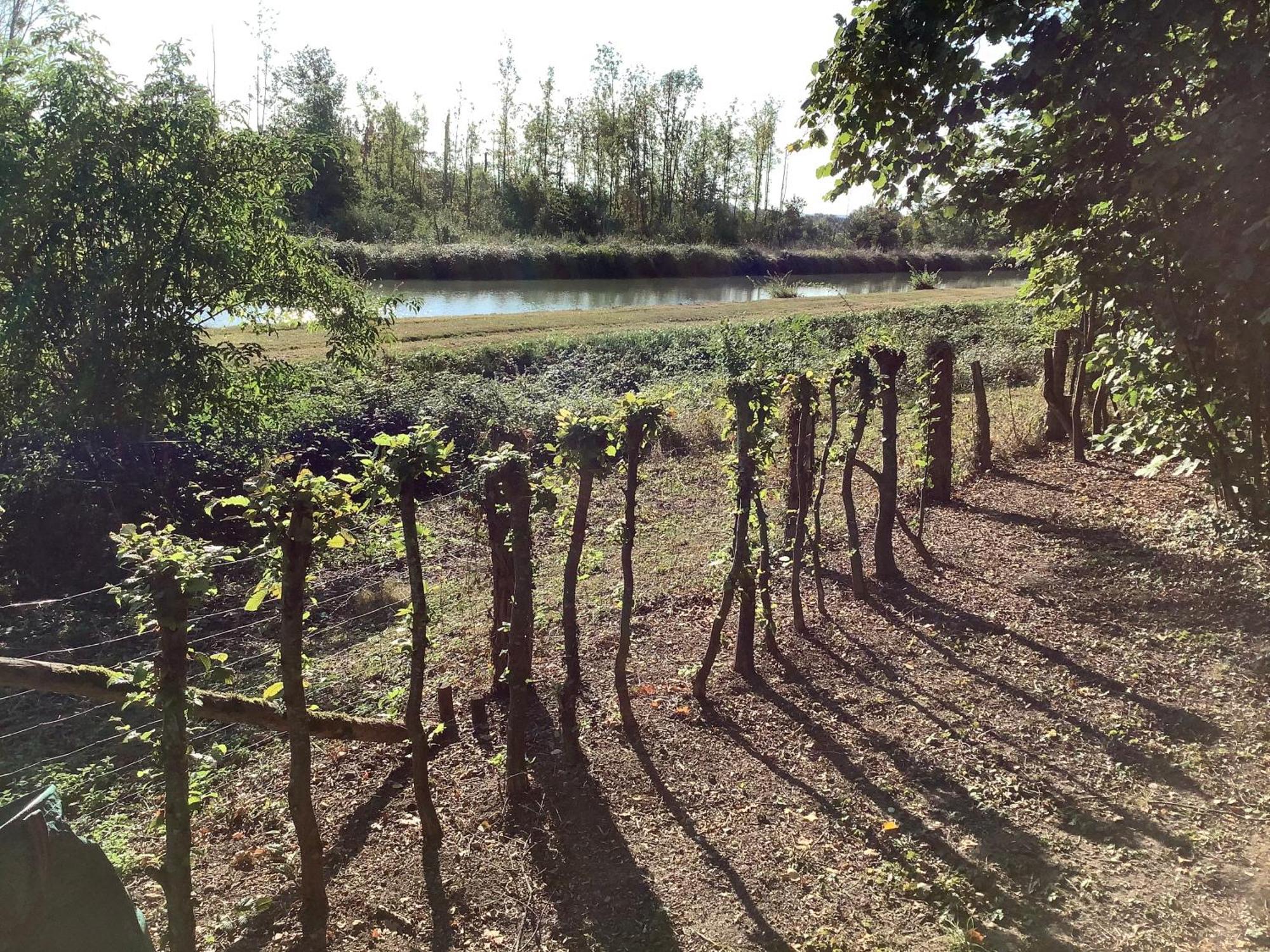 Autour Des Vignes B&B Herry Zewnętrze zdjęcie
