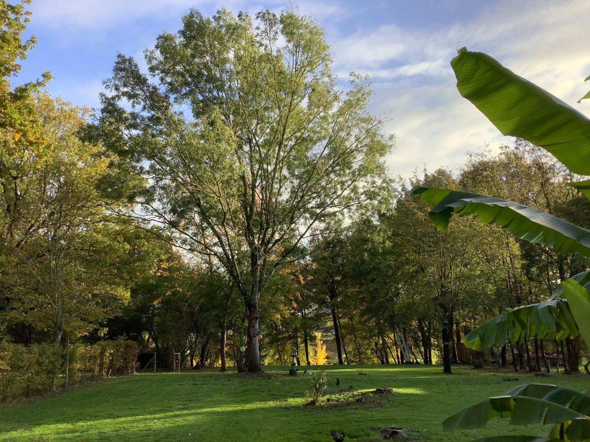 Autour Des Vignes B&B Herry Zewnętrze zdjęcie