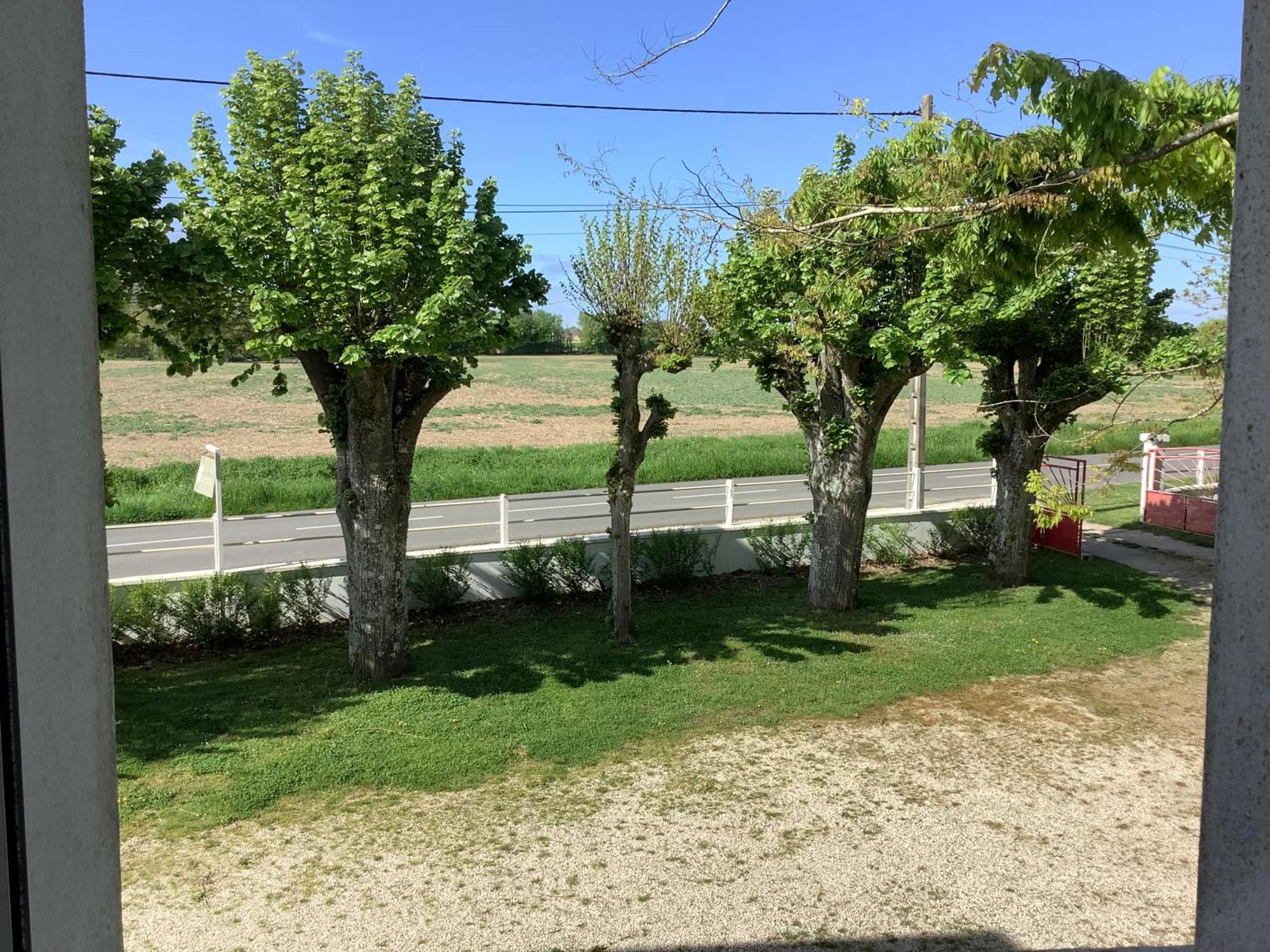 Autour Des Vignes B&B Herry Zewnętrze zdjęcie